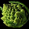 Fractal Broccoli Label