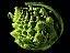 Fractal_Broccoli.jpg: 800x600, 73k (2009-02-13 12:30)