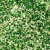 Crops Kansas AST 20010624