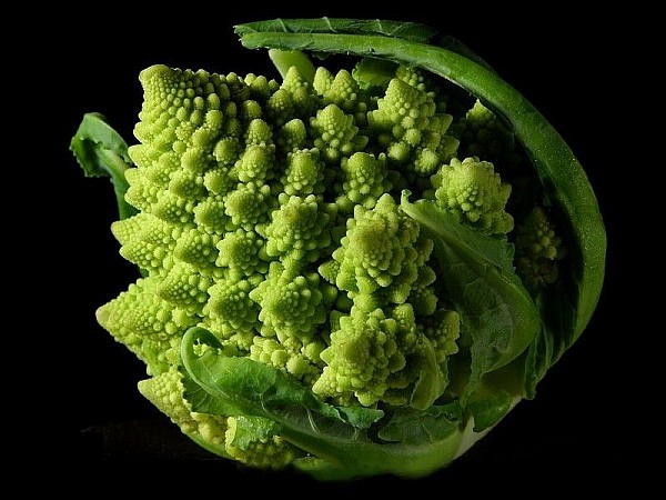 Fractal_Broccoli.jpg: 800x600, 73k (2009-02-13 12:30)